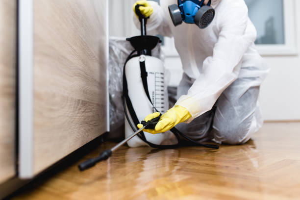 Best Exterminator Services  in Greentown, OH