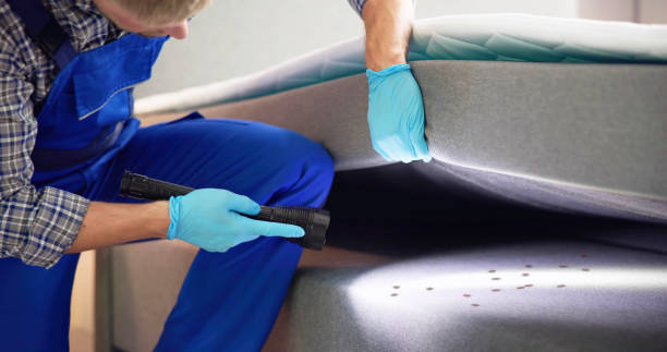 Best Pest Removal Services  in Greentown, OH