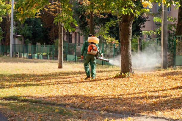 Best Mosquito Control Services  in Greentown, OH