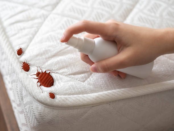Best Insect Control  in Greentown, OH