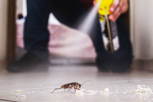 Best Wildlife Control Services  in Greentown, OH