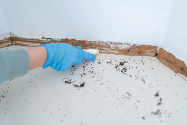 Best Commercial Pest Control Services  in Greentown, OH